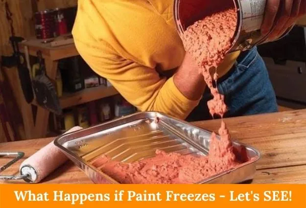 What Happens if Paint Freezes